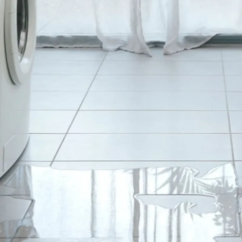 Appliance Leak Cleanup in Rogers Park, IL