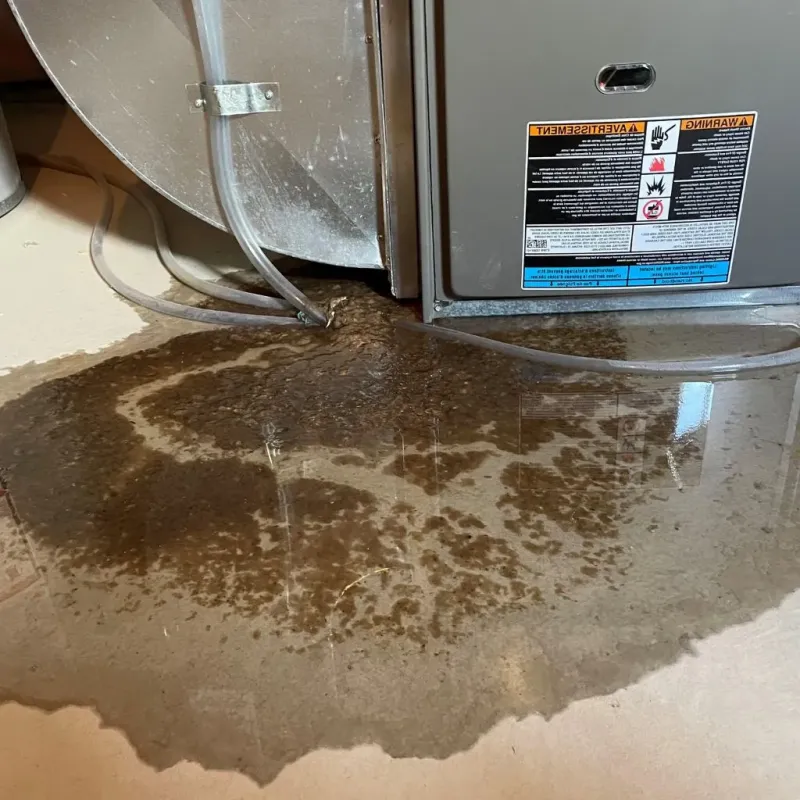 Pipe Burst and Leak Restoration in Rogers Park, IL